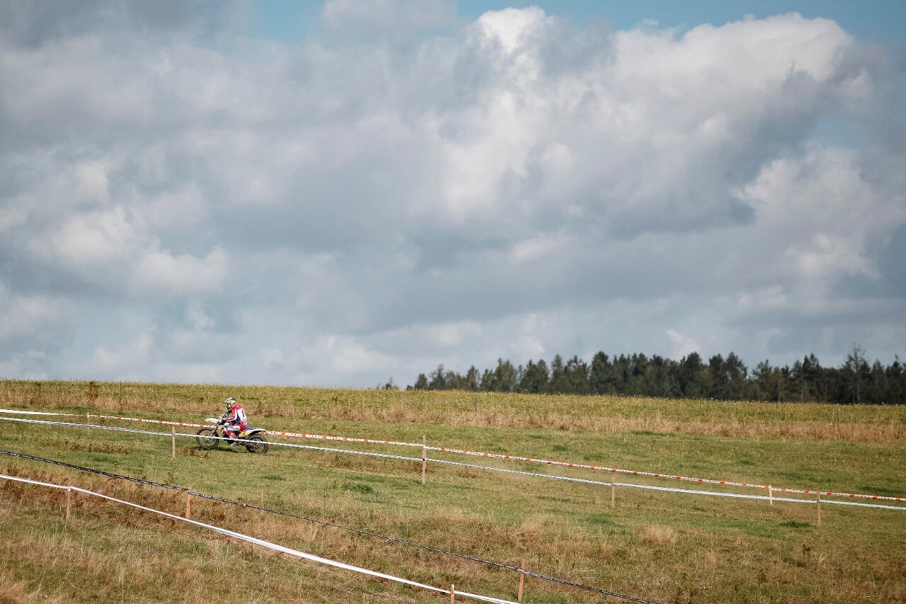 Steve Holcombe: ME LI BEVO TUTTI!